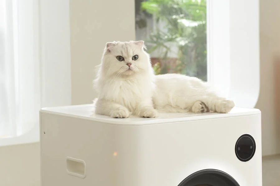 best automatic litter box multiple cats