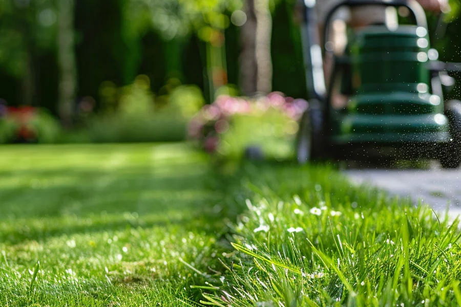 lawn mower for small lawns